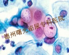 铜仁男科医院